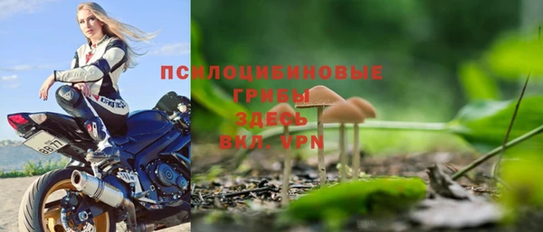 прущие грибы Киренск