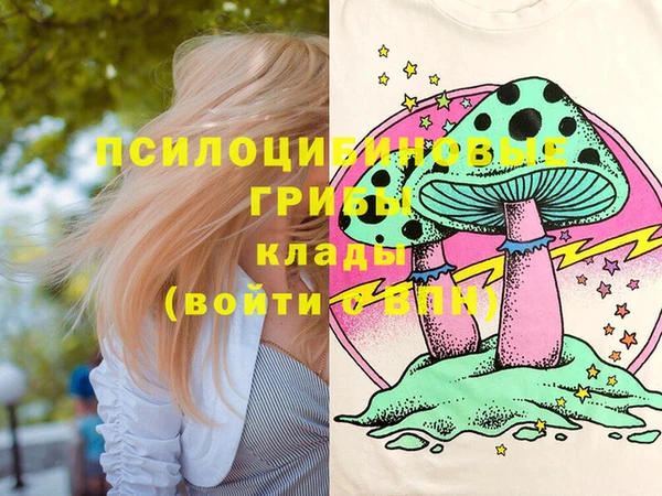 прущие грибы Киренск
