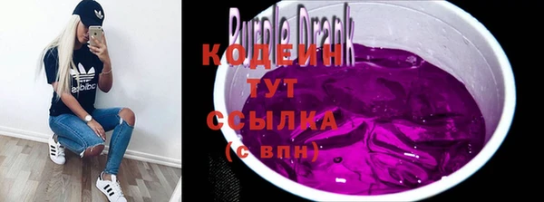 мдпв Карпинск