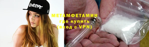 прущие грибы Киренск