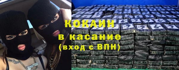 мдпв Карпинск