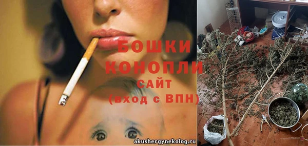 прущие грибы Киренск
