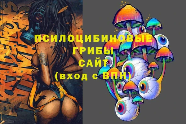 спиды Киреевск