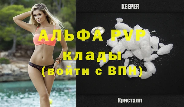 спиды Киреевск