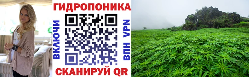 Марихуана White Widow  Купить закладки  Похвистнево 
